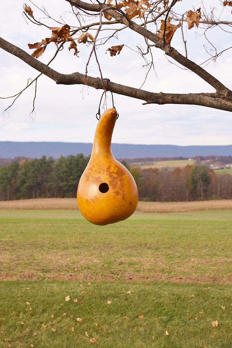 Birdhouse