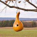 Birdhouse