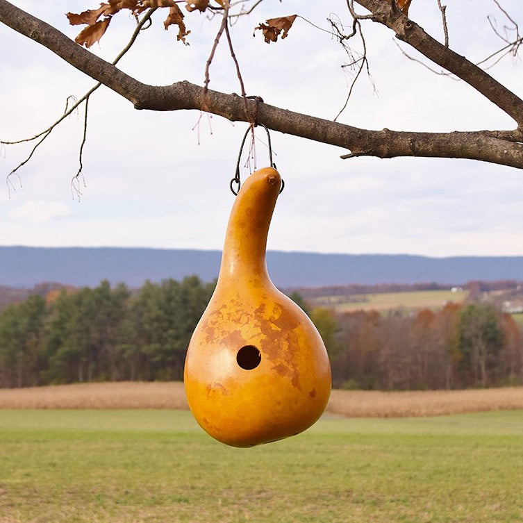 Birdhouse