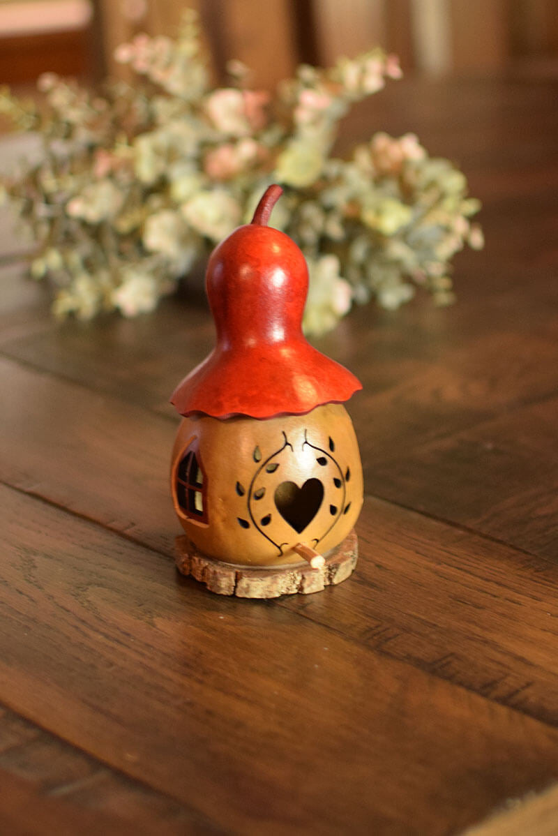 Decorative birdhouse gourd at Meadowbrooke Gourds