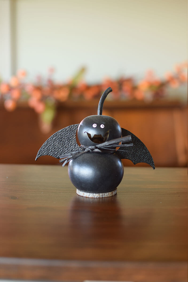 Bat gourd at Meadowbrooke Gourds