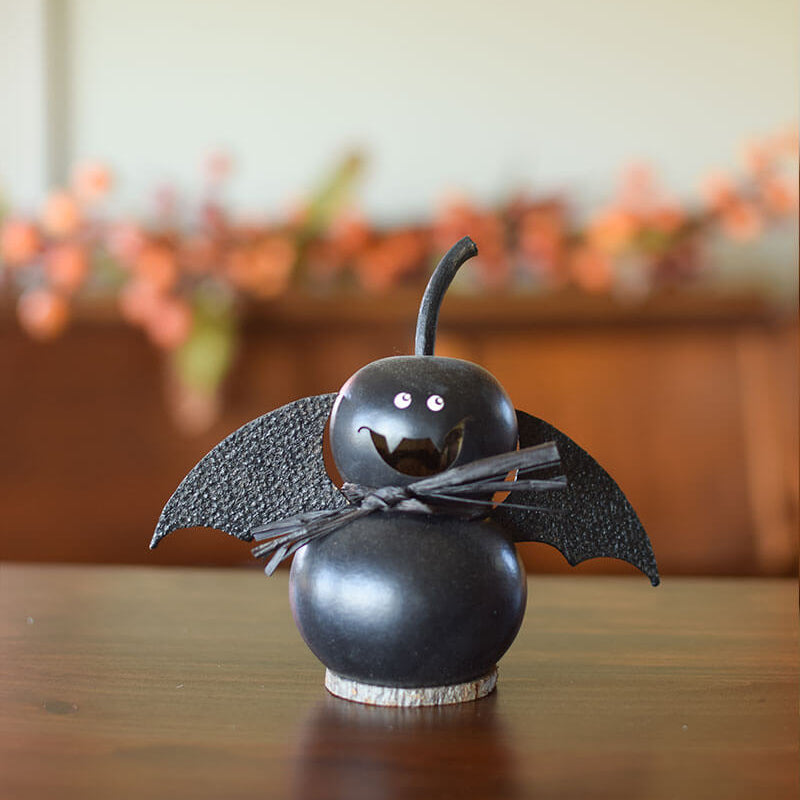Bat gourd at Meadowbrooke Gourds