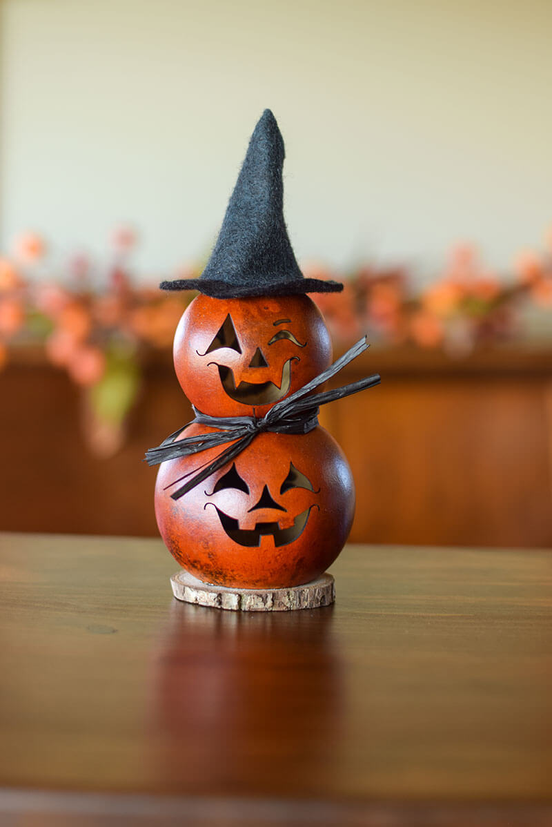Witch gourd at Meadowbrooke Gourds