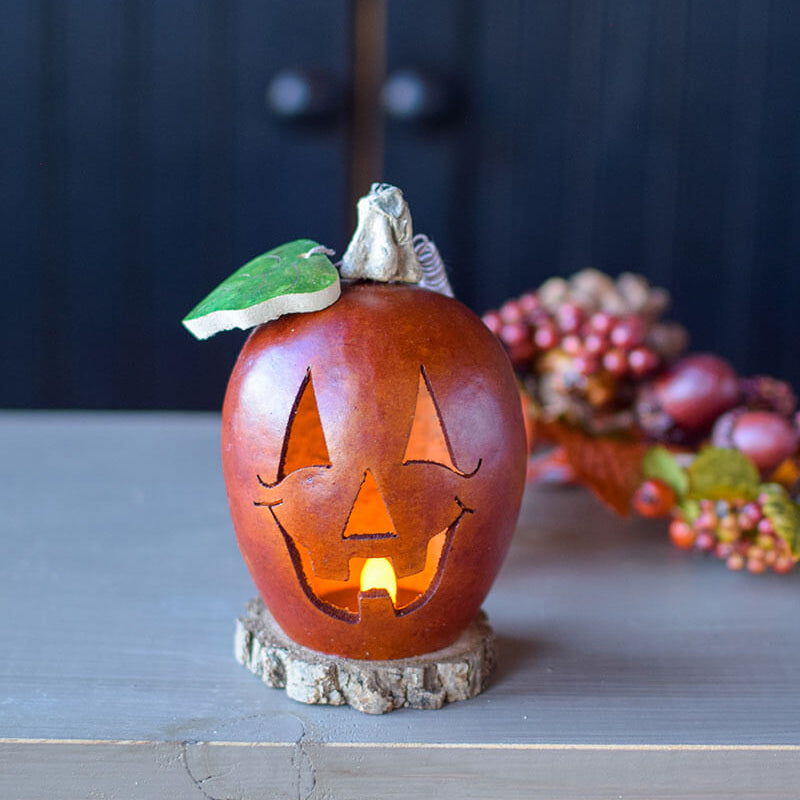 Miniature jack o lantern gourd