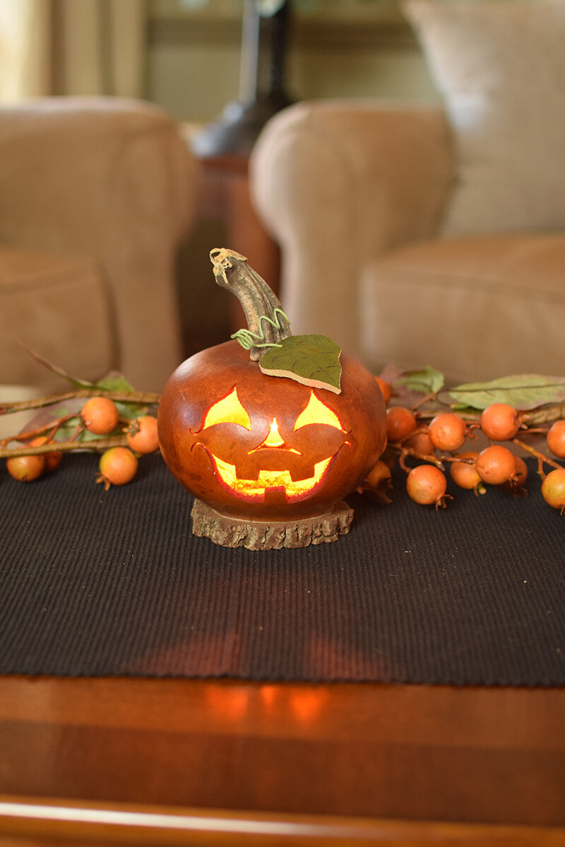 Lucas jack o lantern small lit gourd  at Meadowbrooke Gourds