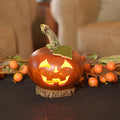 Lucas jack o lantern small lit gourd  at Meadowbrooke Gourds