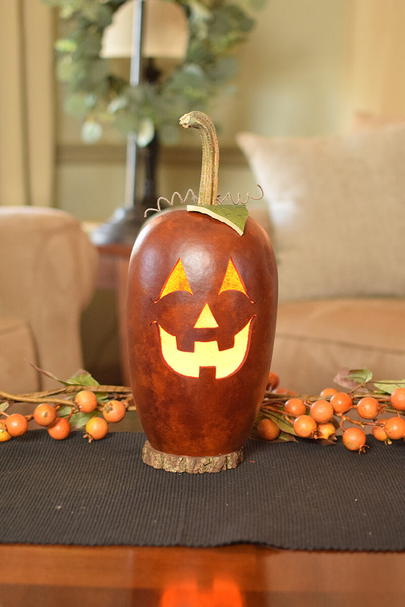 Lucas jack o lantern gourd lit  at Meadowbrooke Gourds