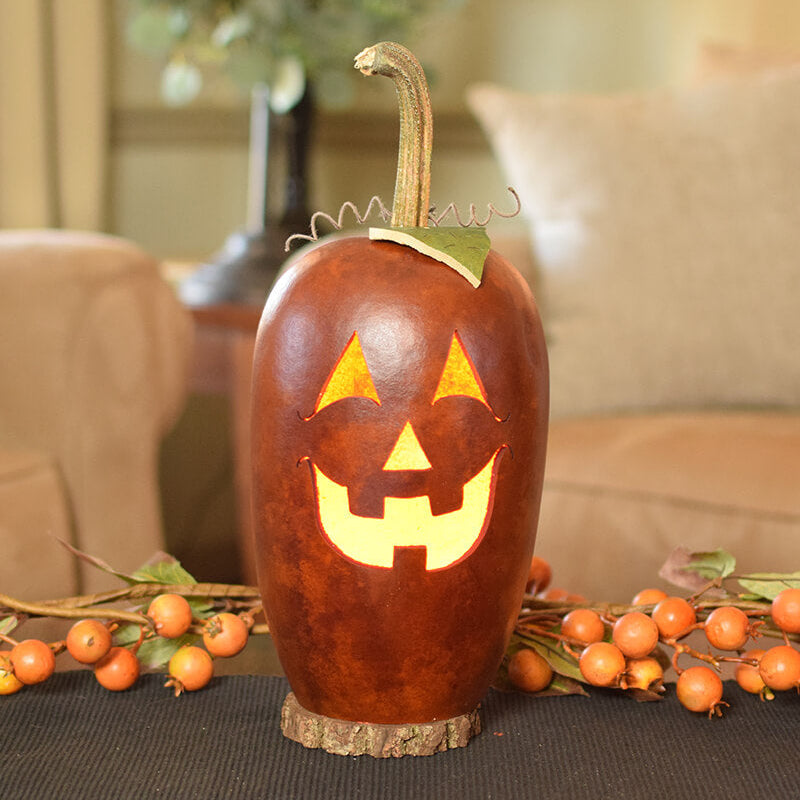 Lucas jack o lantern gourd lit  at Meadowbrooke Gourds