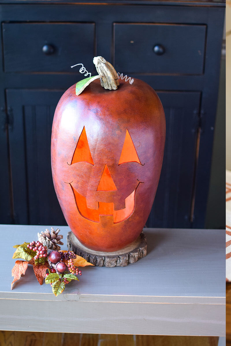 Extra large jack o lantern gourd at Meadowbrooke Gourds
