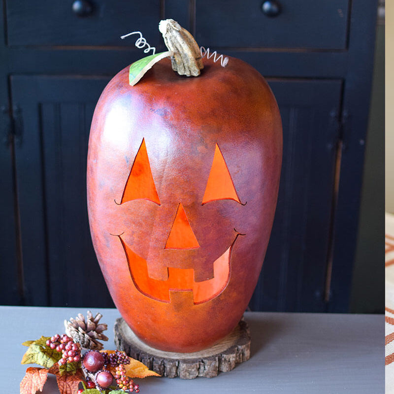 Extra large jack o lantern gourd at Meadowbrooke Gourds
