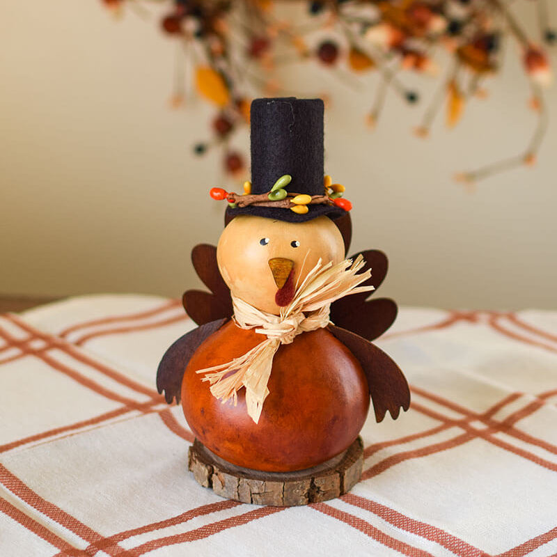 Turkey gourd at Meadowbrooke Gourds