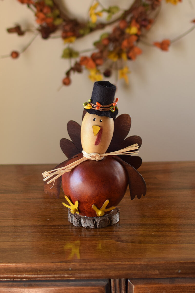 Westley the turkey gourd  at Meadowbrooke Gourds