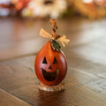 Little jack o lantern gourd