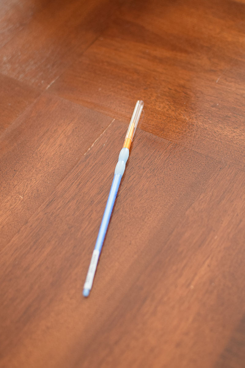 Paint Brush - 10/0